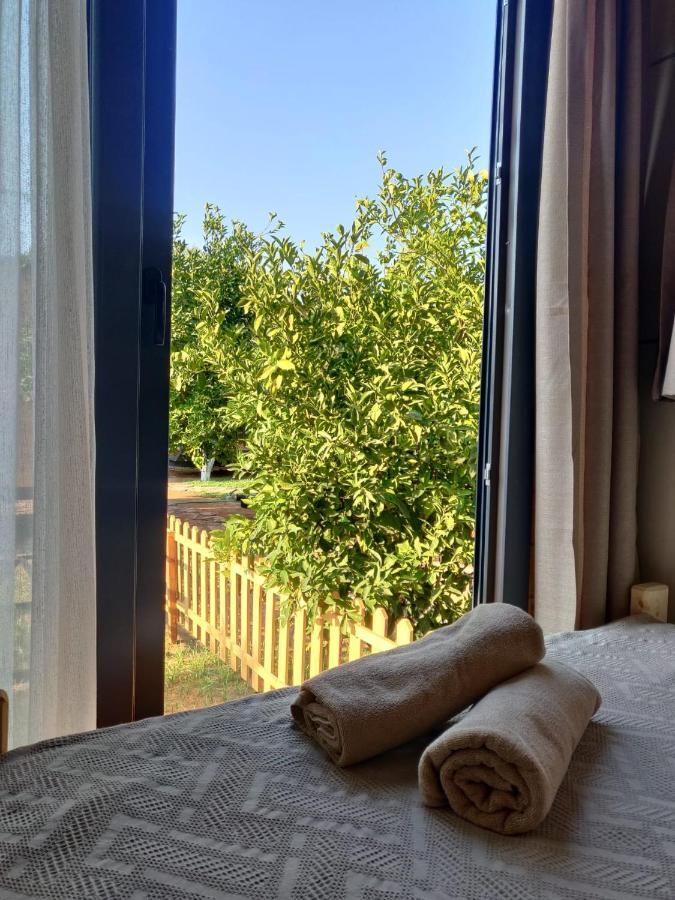 Gaia Tiny Houses Butik Hotel Bodrum Exterior foto